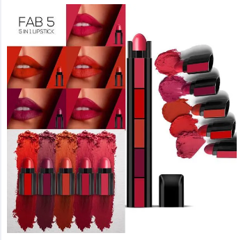 5 in 1 Lipstick Matte lipsticks Waterproof