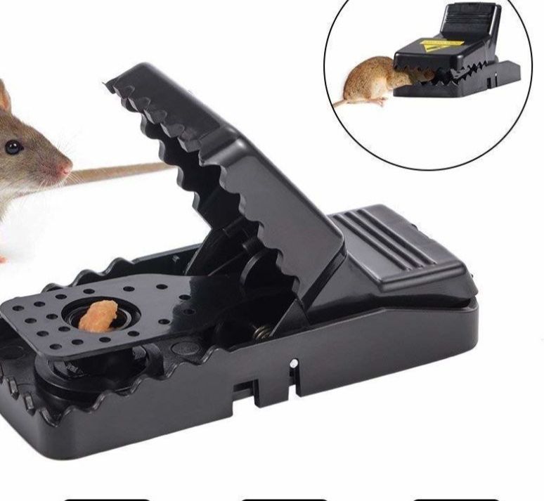 Mouse Catcher
