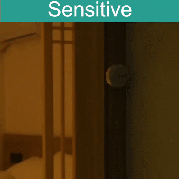 Motion Sensor Light