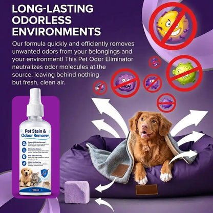 Pet Stain & Odour Remover