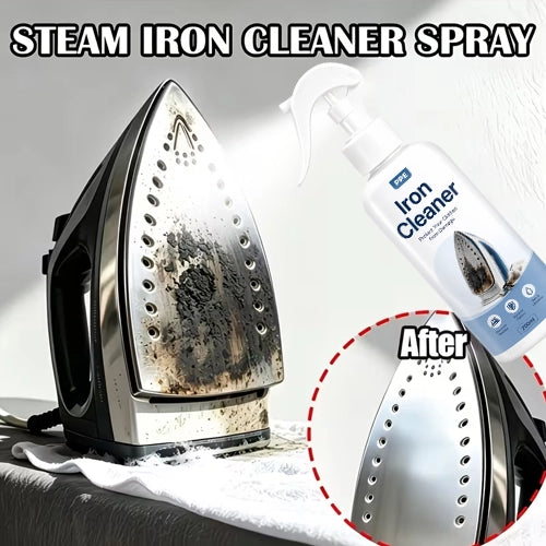 Steam Iron Cleaner