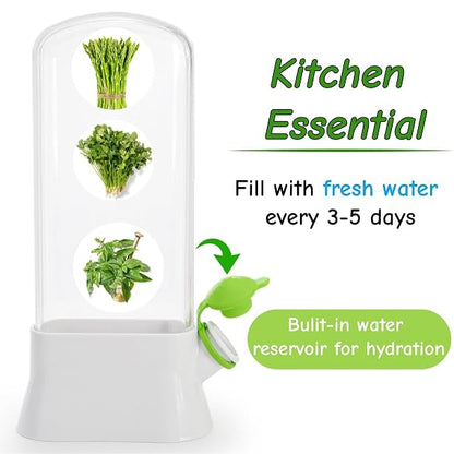 Fresh Herb Container