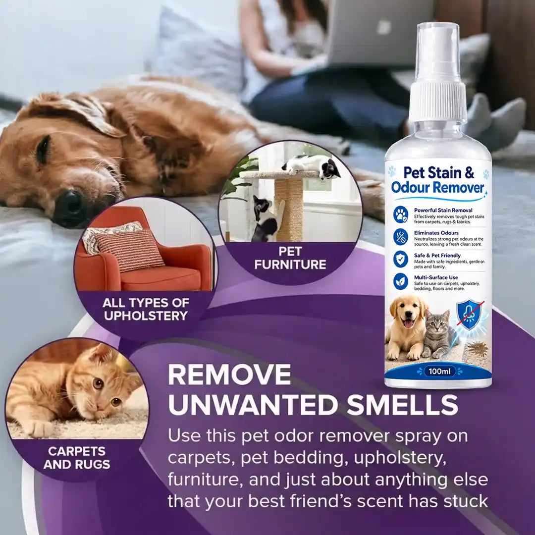 Pet Stain & Odour Remover