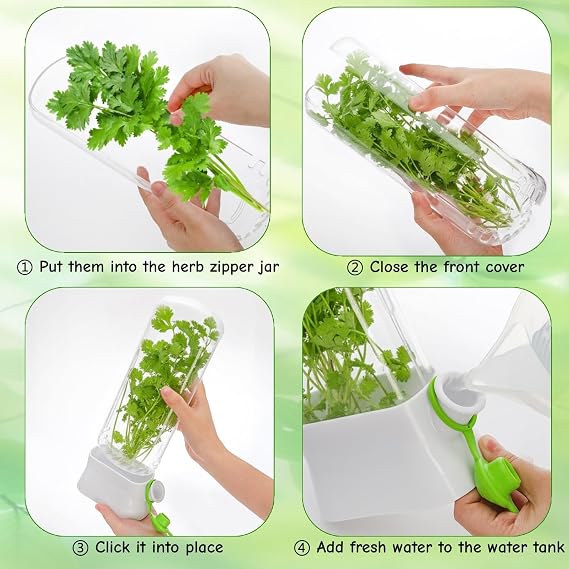Fresh Herb Container