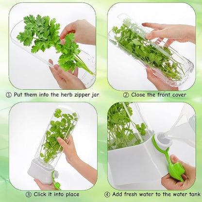 Fresh Herb Container
