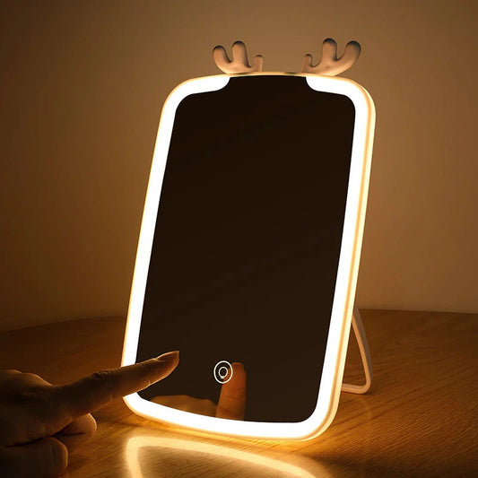 Rechargeable Vanity Mirror With Light