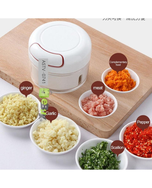 Mini Food Chopper