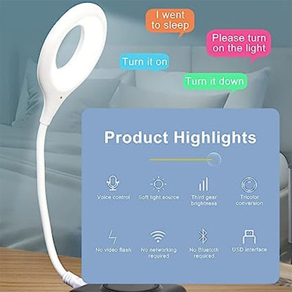 Smart Voice Control USB Night Light Lamp