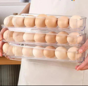 Egg Tray 2 Layer