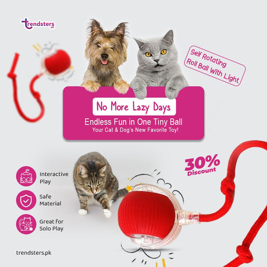 Self Rotating Roll Ball With Light